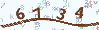 Verify Code